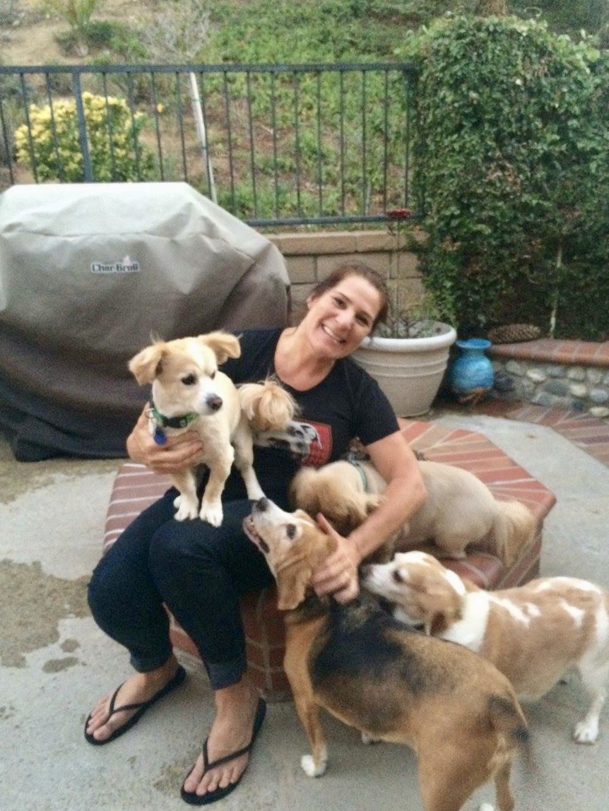 Mel dogs